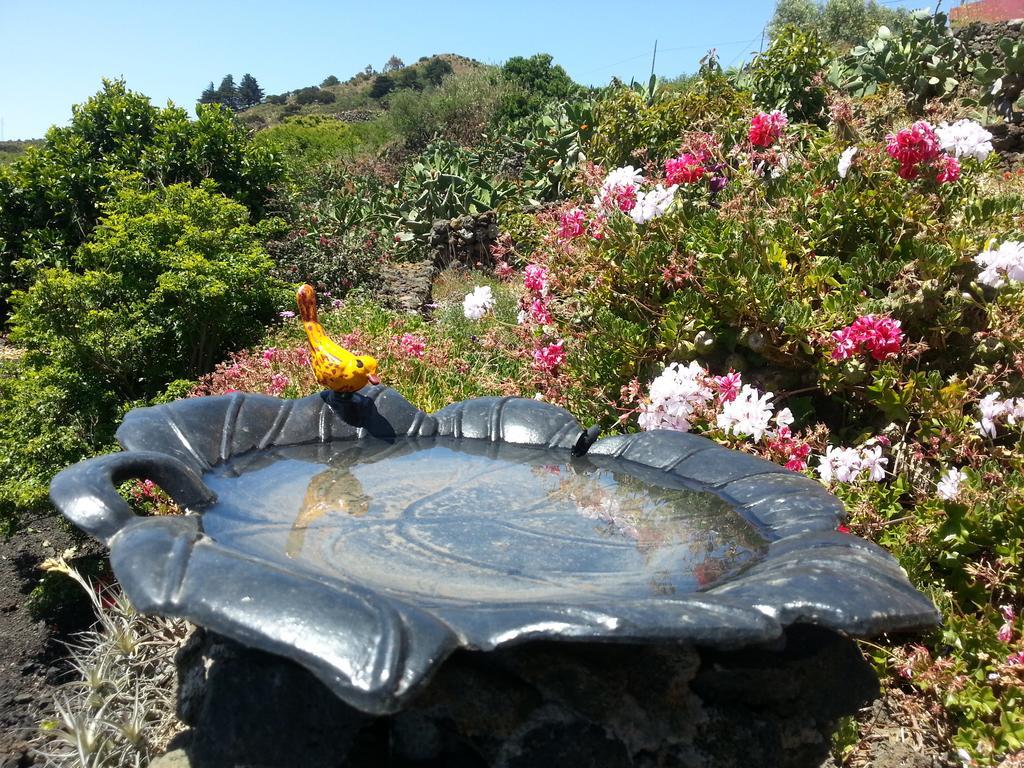 Casa Rural El Valle San Andrés 外观 照片